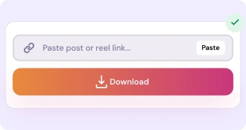 Step 3: Paste the link and click Download