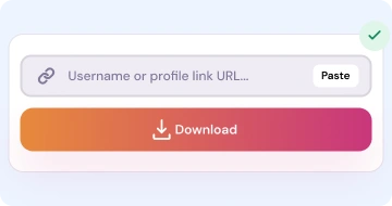 Step 3: Paste the link and click Download